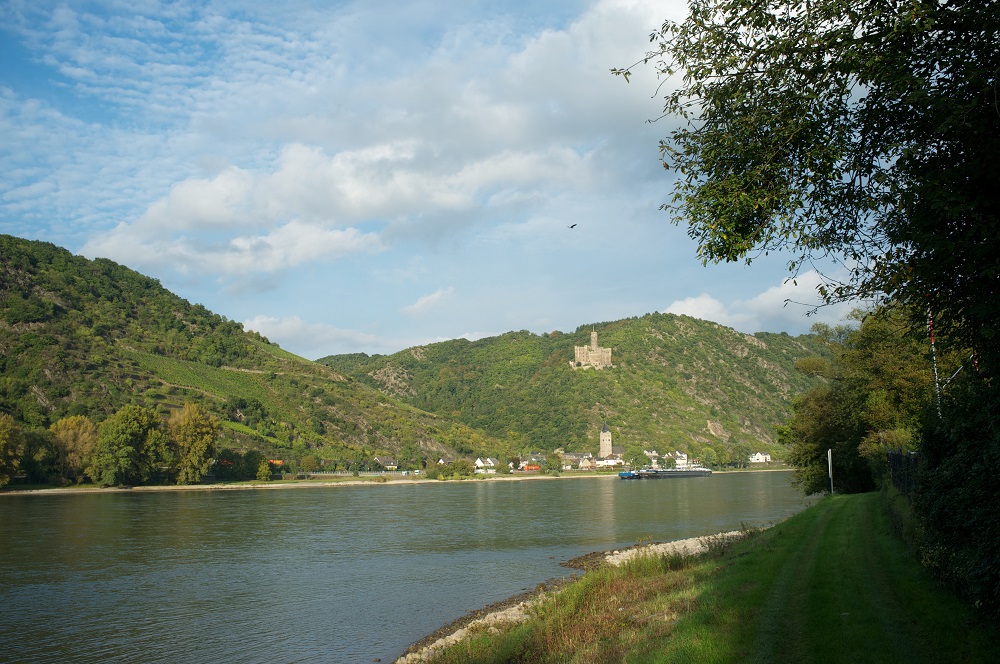 Burg Maus Eén van de vele burchten langs de Rijn, Burg Maus bij St. Goarhausen